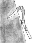 62000l19.jpg (3664 bytes)